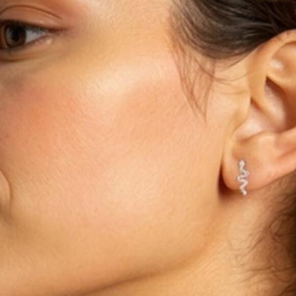 EFFY ENY Women's Sterling Silver & 0.12 TCW Diamond Snake Stud Earrings NWT - Picture 1 of 8